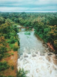 Scenic view of river amidst trees against sky