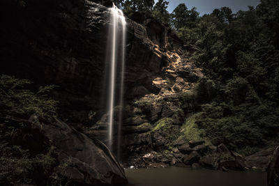 Low angle view of waterfall in forest