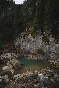 Scenic view of waterfall in forest