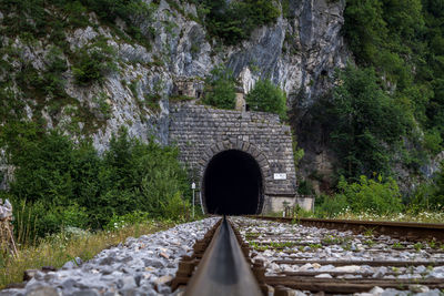 Railroad track amidst trees and tunnel