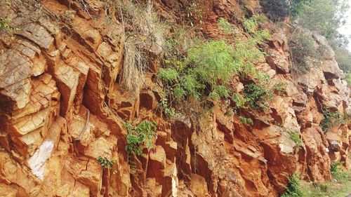 View of rock formation