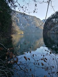 Scenic view of lake by trees against sky