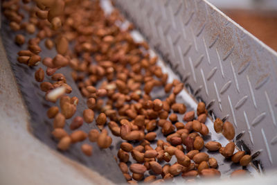 High angle view of coffee beans on table