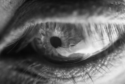 Close-up of human eye