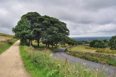 Empty roads by trees against cloudy sky