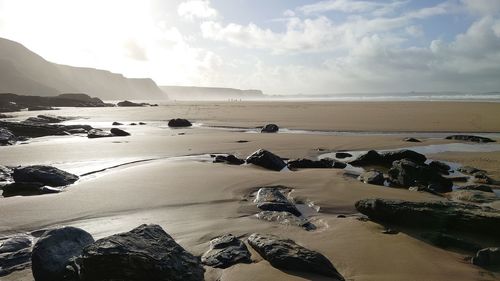 Misty beach in cornwall