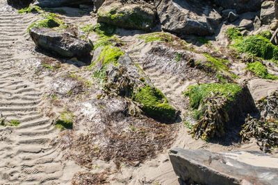 High angle view of rock formations