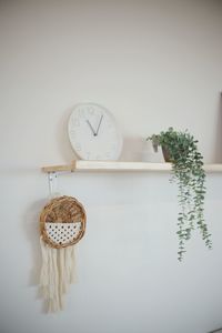 Close-up of potted plant on table against white wall