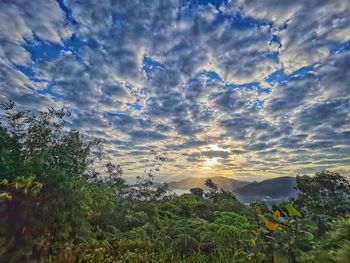 Scenic view of landscape against sky during sunset