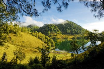 Scenic view of landscape against sky