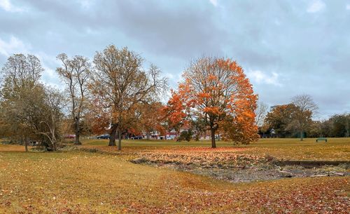 Trees on field against sky during autumn