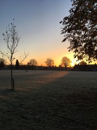Silhouette trees on field against sky during sunset