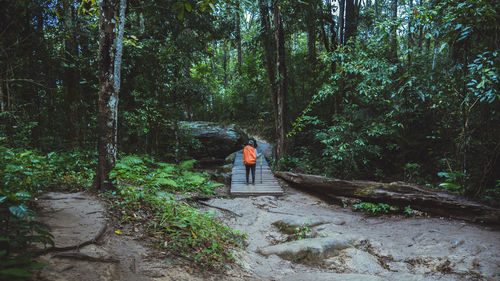 Woman standing by trees in forest