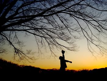 Silhouette man standing by bare tree against sky during sunset