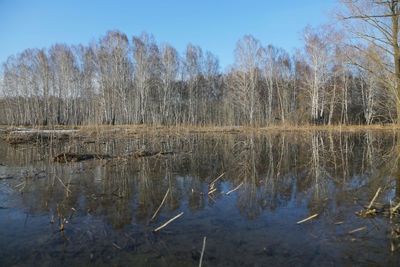 Reflection of trees in lake against sky