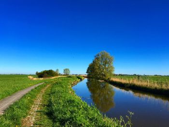 Scenic view of field against clear blue sky