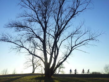 Silhouette tree against clear sky