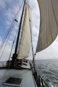 Sailboat sailing in sea against sky