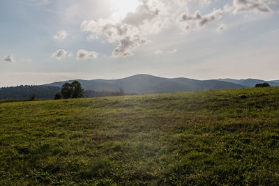 Scenic view of field against sky