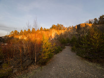 Dirt road amidst autumn trees against sky