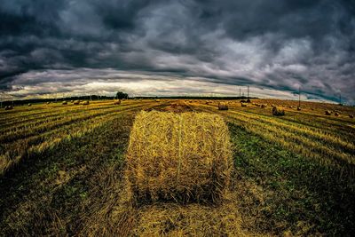 Scenic view of field against cloudy sky