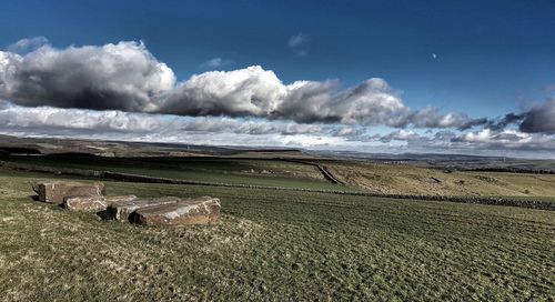 Scenic view of field against sky