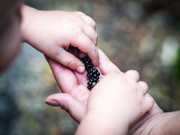 Close-up of hands holding baby hand