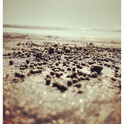 Surface level of pebbles at beach