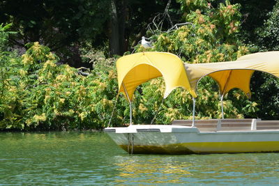 Boat in river against trees in forest