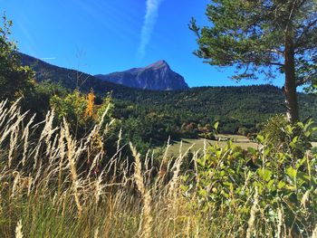 Scenic view of mountains against blue sky