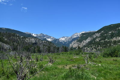 Scenic view of landscape against clear blue sky