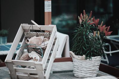 High angle view of potted plants in basket on table