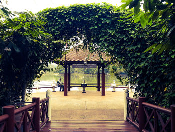 Empty bench in park