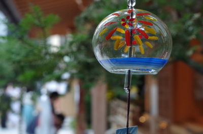 Close-up of bubbles hanging on tree