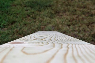 Close-up of white grass