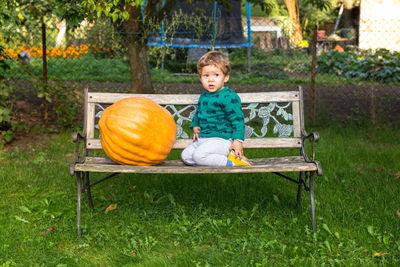 Cute boy with pumpkin sitting on bench in park