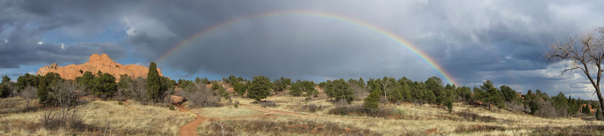 Panoramic view of rainbow over trees against sky