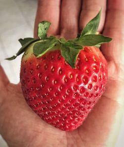 Close-up of hand holding strawberry