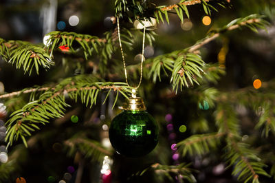 Close-up of christmas tree