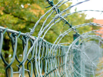 Close-up of barbed wire fence against trees