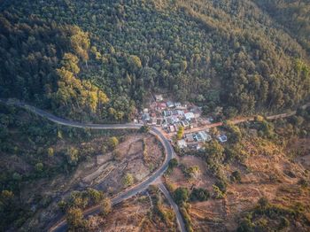 High angle view of road in forest