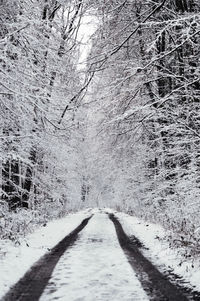 Snow covered road in forest