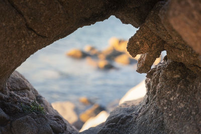 Rock in the shape of a snake's head, baia trinità beach, la maddalena, sardinia, italy