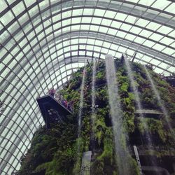 Low angle view of greenhouse