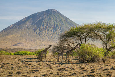 Scenic view of arid landscape against sky