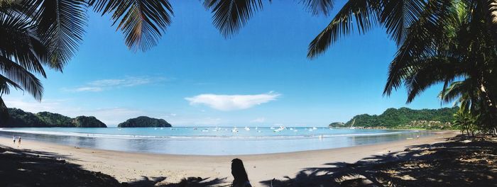 Scenic view of beach