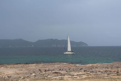 Sailboat sailing on sea against sky