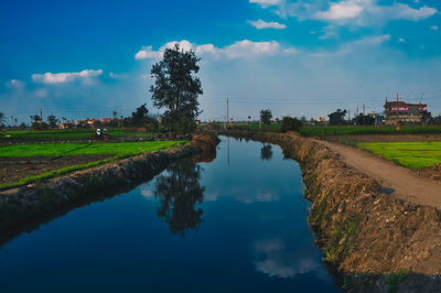 Scenic view of landscape against sky