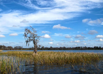 Scenic view of lake against sky