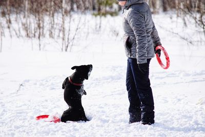 Rear view of dogs running on snow covered field